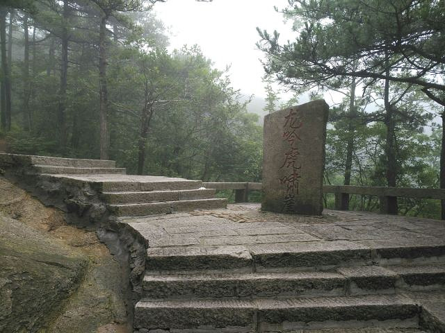 "险峻无比，很适合喜欢刺激的攀爬，山顶上各种怪石嶙峋，奇形怪状，让人目不暇接，美中不足的是自己运..._天柱山"的评论图片