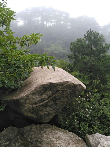 "险峻无比，很适合喜欢刺激的攀爬，山顶上各种怪石嶙峋，奇形怪状，让人目不暇接，美中不足的是自己运..._天柱山"的评论图片