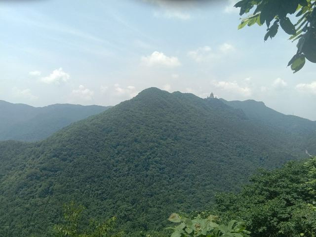 "_大洪山琵琶湖风景区"的评论图片