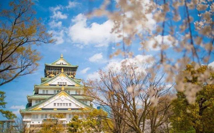"大阪城一带的樱花真的把我惊艳到了！漫步在这片樱花树林间，整颗心都被温暖了，让人沉醉_大阪城天守阁"的评论图片