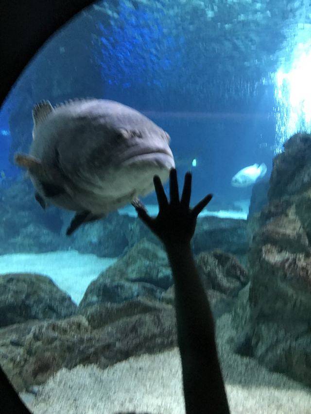 Sea Life COEX水族馆