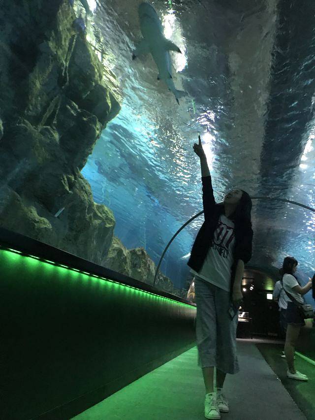 Sea Life COEX水族馆