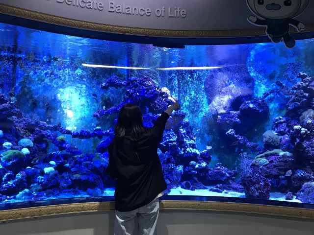 Sea Life COEX水族馆