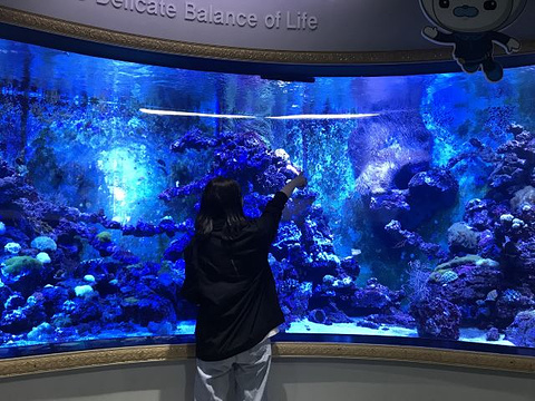 COEX水族馆旅游景点图片