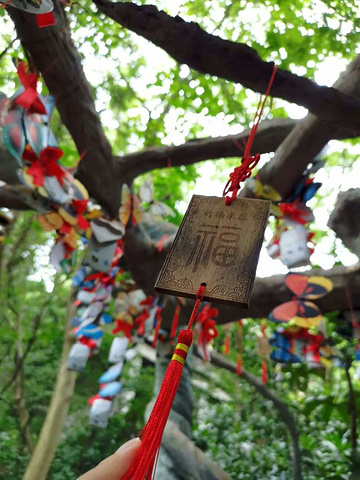 "_天目湖山水园"的评论图片