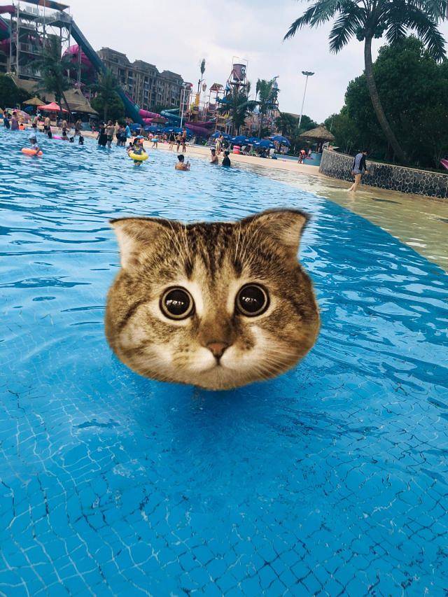 徐州乐园加勒比水世界