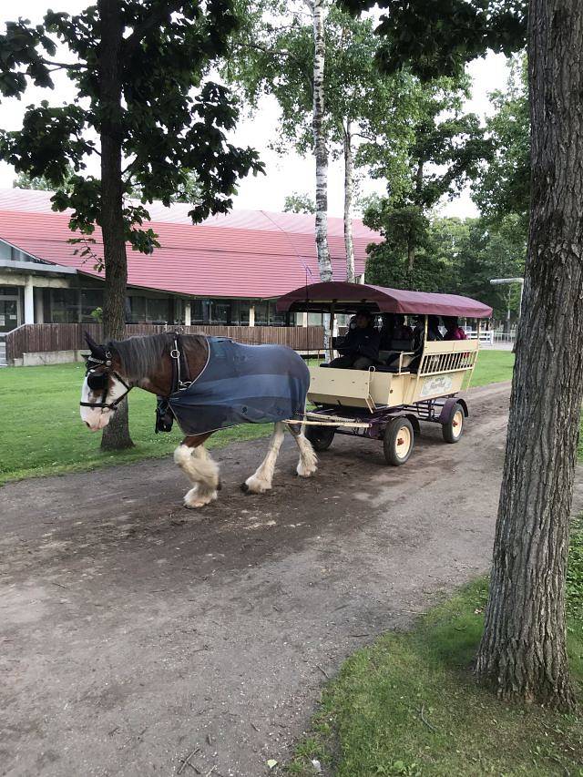 北国马场主题公园