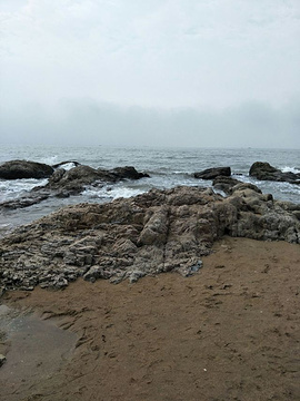 老虎石浴场旅游景点攻略图