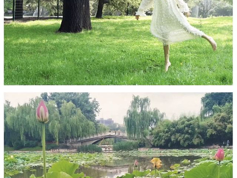 紫竹院公园旅游景点图片