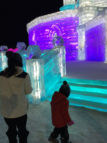 "_哈尔滨冰雪大世界"的评论图片