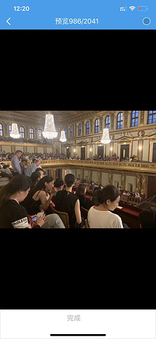 "既然来了一趟维也纳推荐去看一下，如果预算充足的话，可以选择更好的位置更好感受_维也纳音乐厅"的评论图片