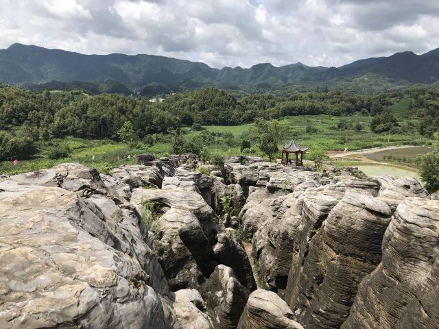 千岛湖石林景区