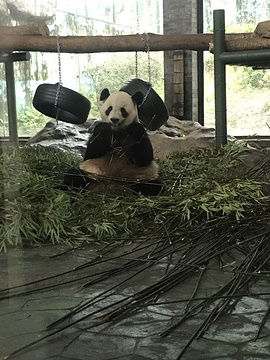 温州动物园旅游景点攻略图