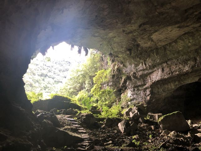 荔波茂兰自然保护区