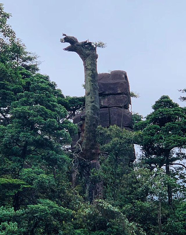 座,最高峰"猛坑石"海拔约两千米,号称"天南第一峰",而山中蜿蜒山间的