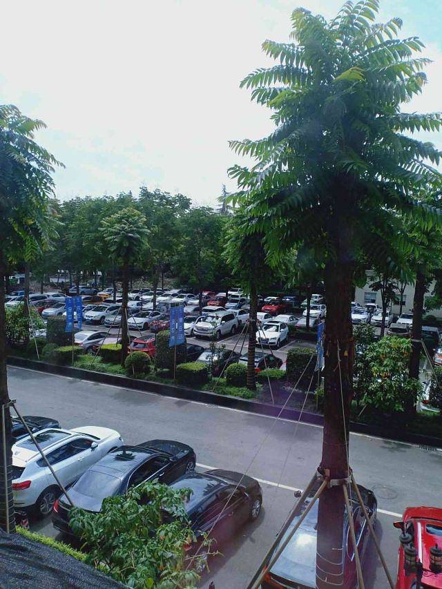 诺亚8号温泉水汇