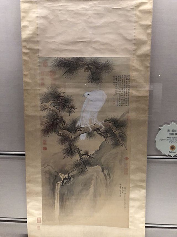"_台北故宫博物院"的评论图片