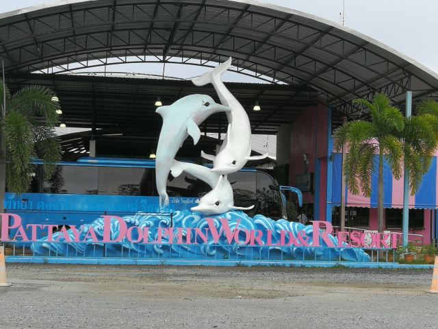 芭提雅海豚世界