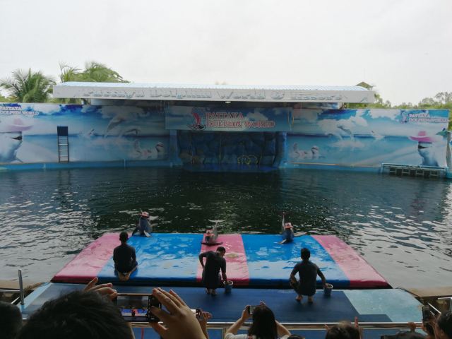 芭提雅海豚世界