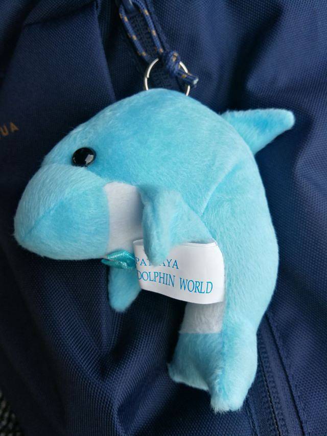 芭提雅海豚世界