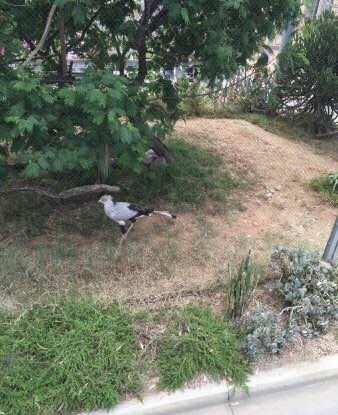 圣地亚哥动物园