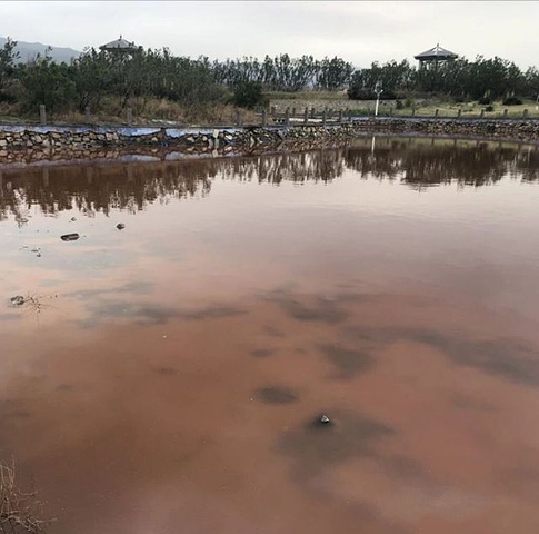 "运城盐湖是典型的内陆咸水湖，在运城城区东南的盐湖区，夏天七、八月份到了，盐湖又红火了，运城盐湖..._运城盐湖"的评论图片