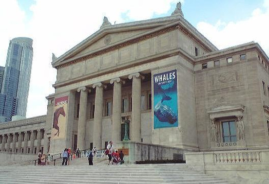 美国自然历史博物馆旅游景点图片