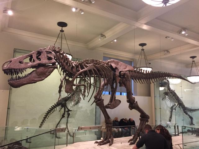 美国自然历史博物馆