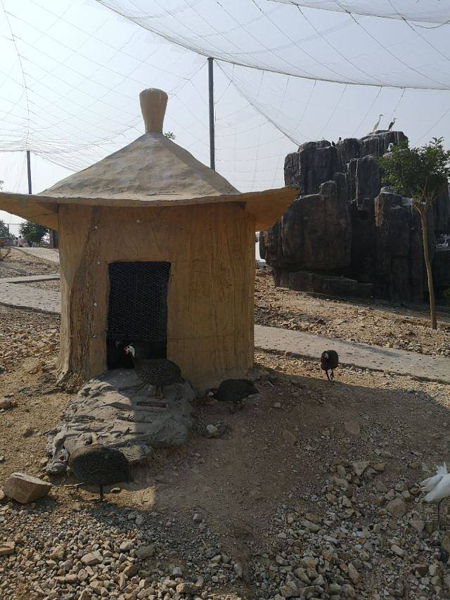 邯郸佛山野生动物园