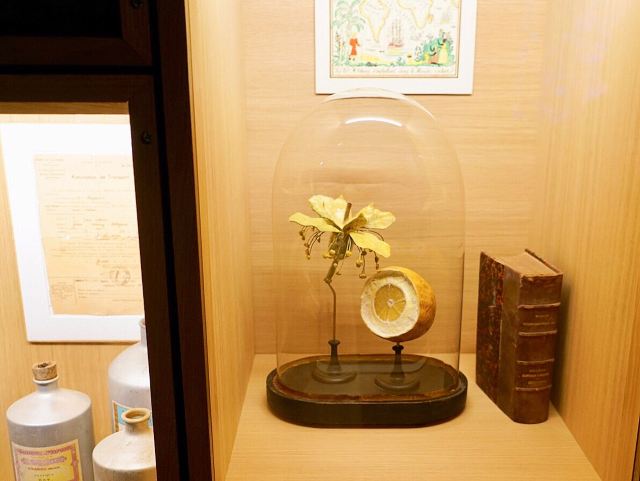 花宫娜巴黎香水博物馆