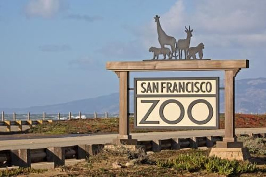旧金山动物园旅游景点图片