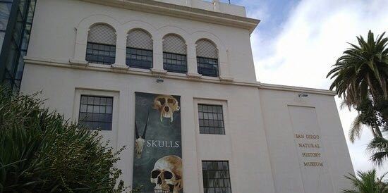 圣迭戈自然历史博物馆