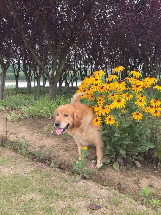 古淮河文化生态景区