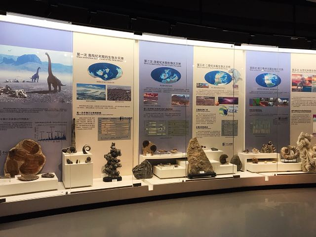 "非常长知识的一个博物馆、才知道原来贝壳类的生物可以有这么多，馆内设计很独特，和海螺上的螺旋一样..._大连贝壳博物馆"的评论图片