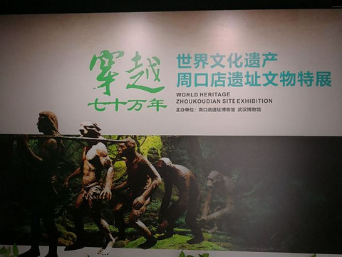 武汉博物馆旅游景点图片