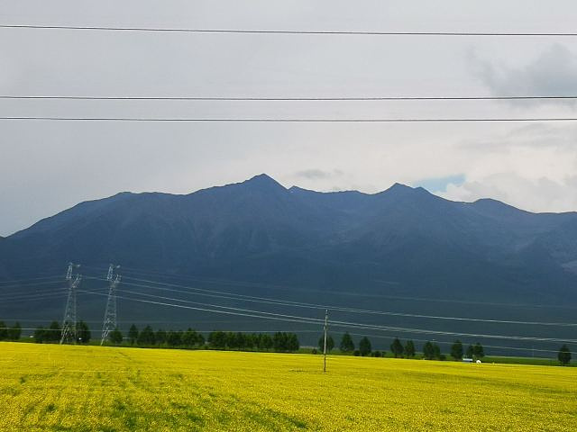 "_门源百里油菜花海"的评论图片