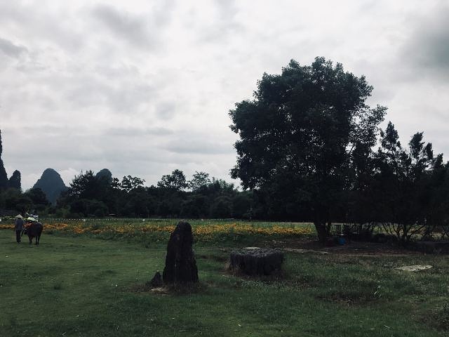 "遇龙河景区很大，有很多租借电动车的地方，建议租借电动车以便到达不同景点_遇龙河景区"的评论图片