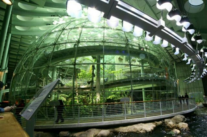 很棒的设施很多可看的东西她最喜欢的是热带雨林因为有许多带小孩的