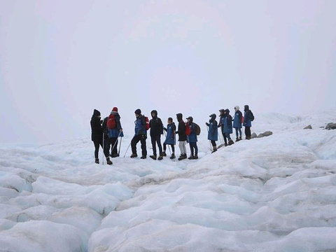 弗朗兹约瑟夫冰川旅游景点图片