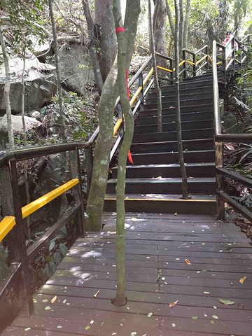 "_呀诺达雨林文化旅游区"的评论图片