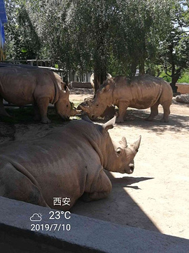 秦岭野生动物园旅游景点攻略图