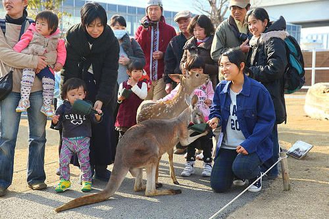神户动物王国旅游景点攻略图