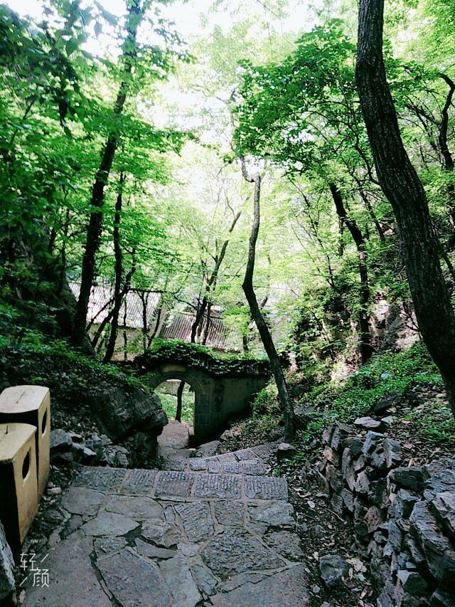 抱犊崮国家森林公园