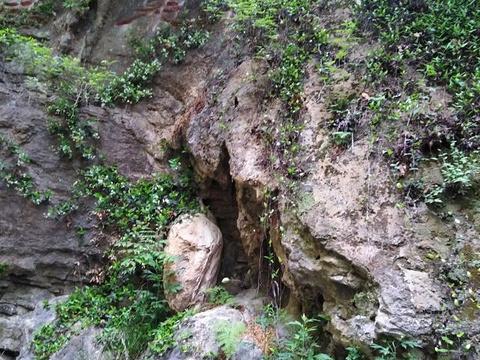 抱犊崮国家森林公园旅游景点图片