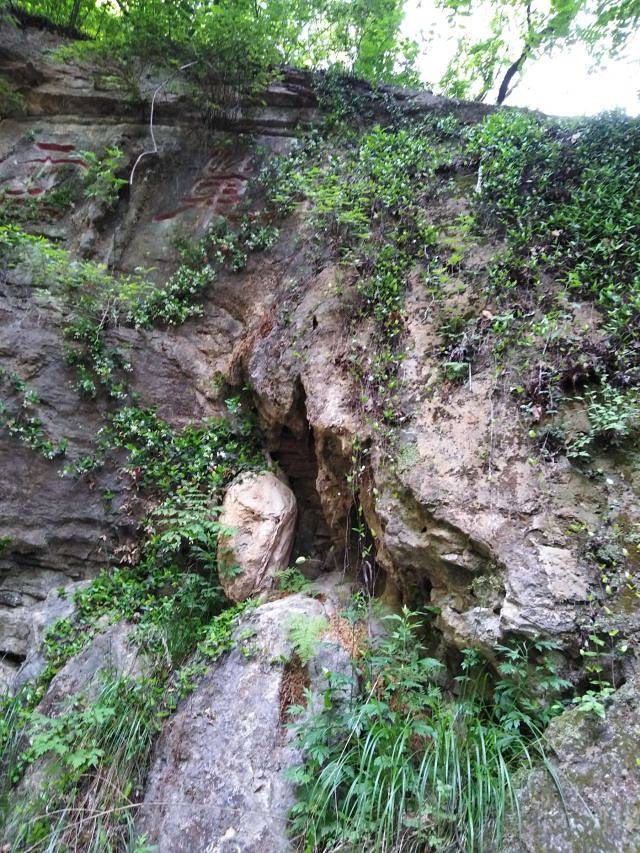 抱犊崮国家森林公园