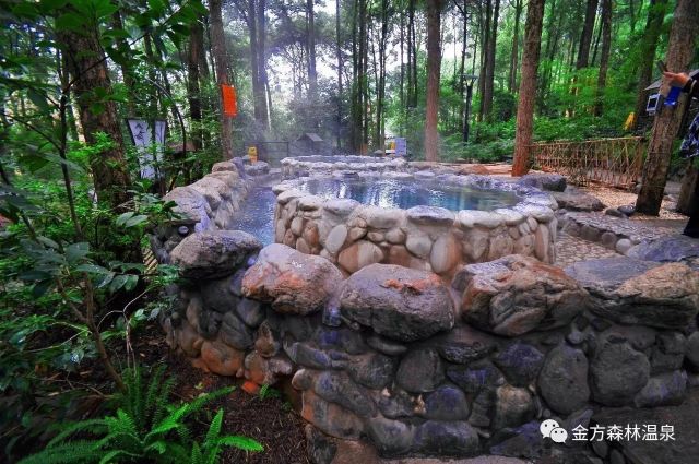 金方森林温泉
