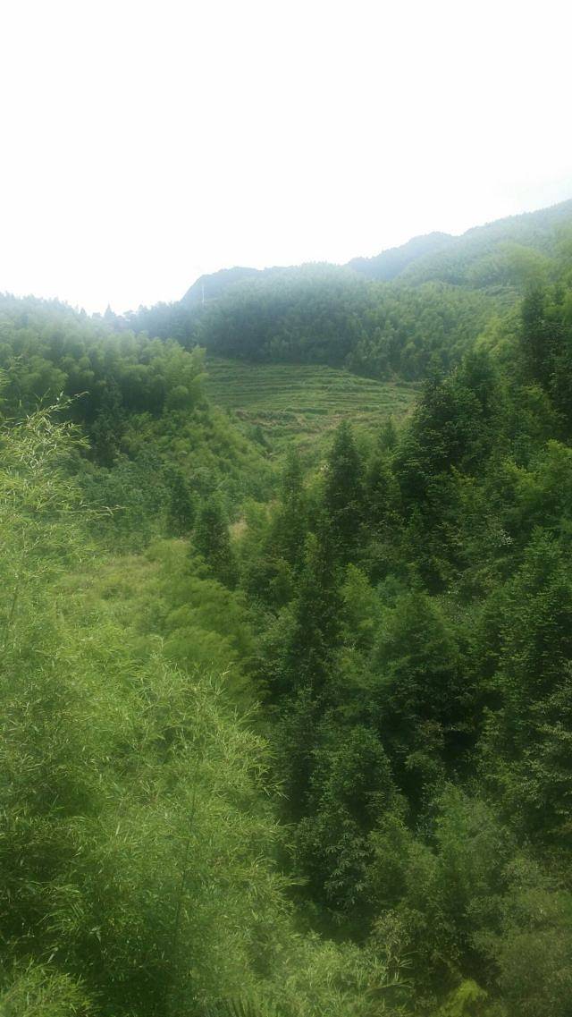 龙穿峡景区
