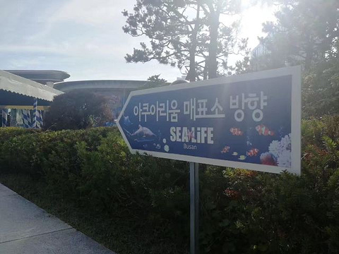 釜山SEA LIFE水族馆旅游景点攻略图