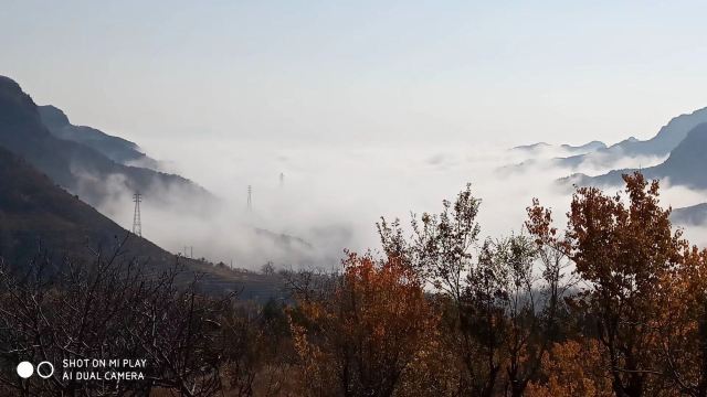 蒲洼乡花台景区