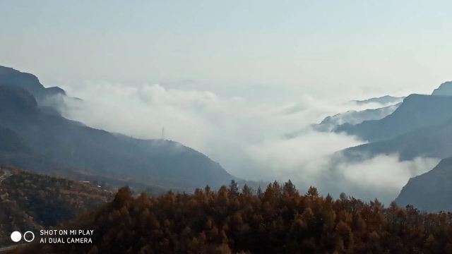 蒲洼乡花台景区